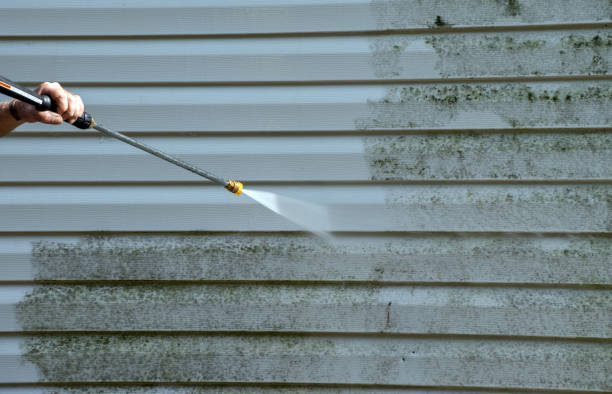 Best Home Mold Removal  in Wellsville, MO