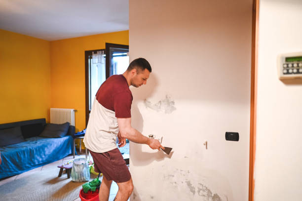 Best Local Mold Removal Service  in Wellsville, MO