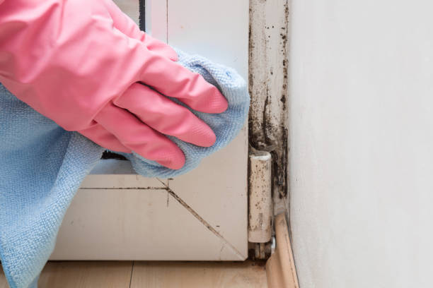 Best Crawl Space Mold Removal  in Wellsville, MO